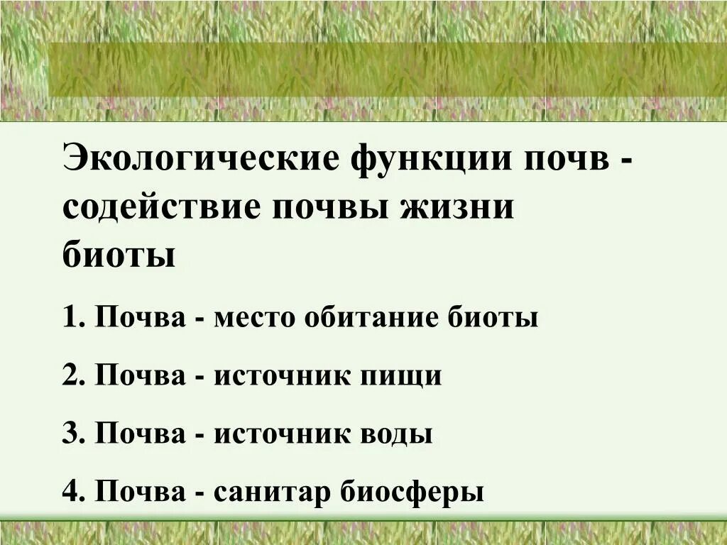 Экологические функции почв. Функции почвы. Глобальные экологические функции почв.