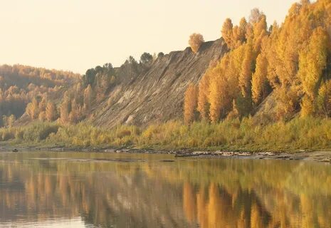 Сосновка томская область