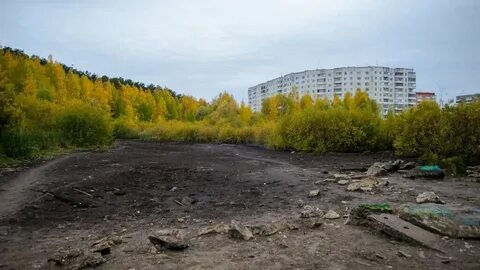 Болото 2022