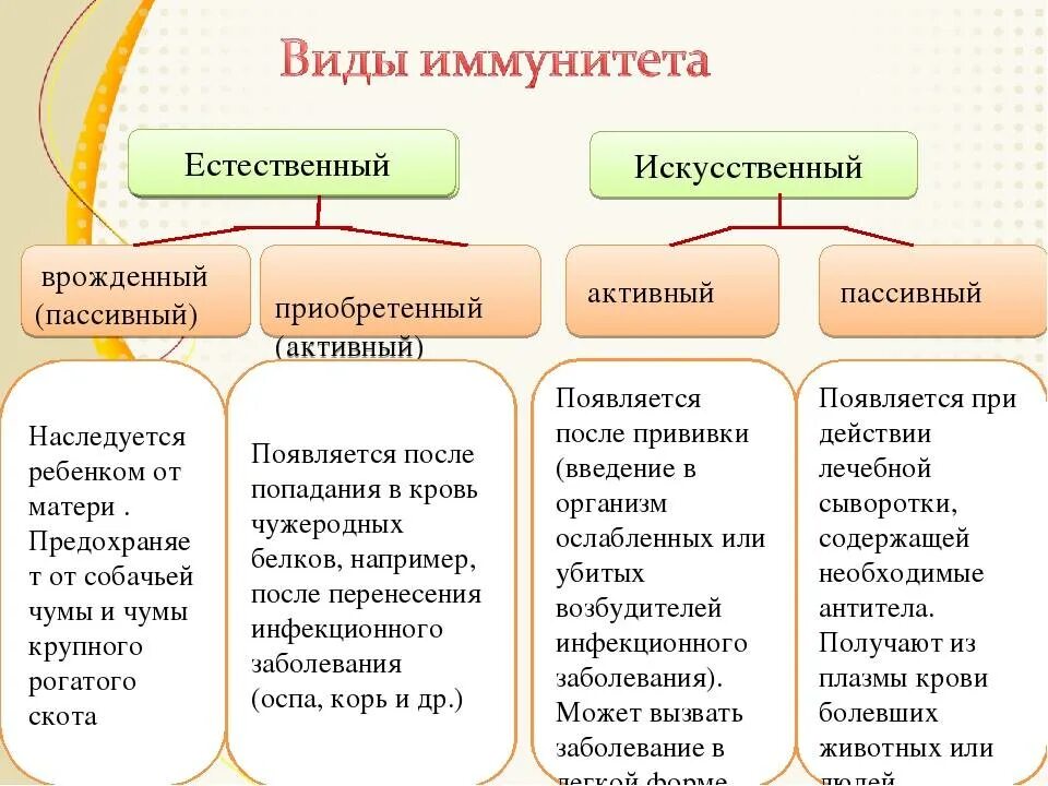 Активный приобретенный иммунитет примеры. Искусственный пассивный иммунитет примеры. Иммунитет активный пассивный врожденный и приобретенный. Искусственный пассивный и активный иммунитет таблица. Естественный иммунитет особенности