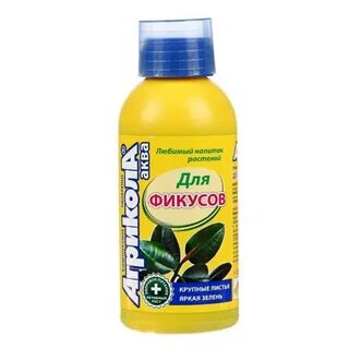 Удобрение для фикуса