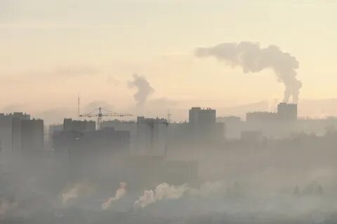 Специалист смог