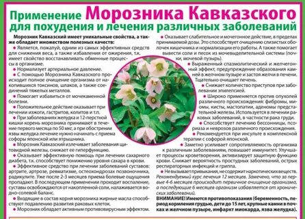 Лечение заболеваний цветов