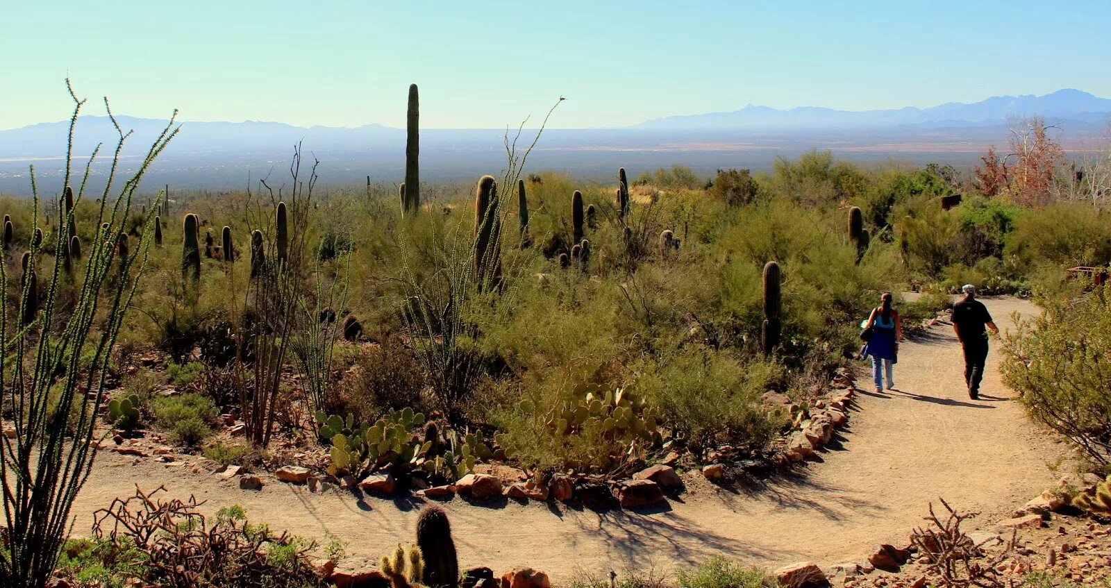 Национальный парк death valley. Легендарный парк в штате калифорния самое жаркое. Легендарный парк в штате калифорния самое жаркое. Легендарный парк в штате калифорния самое жаркое. Легендарный парк в штате калифорния самое жаркое.