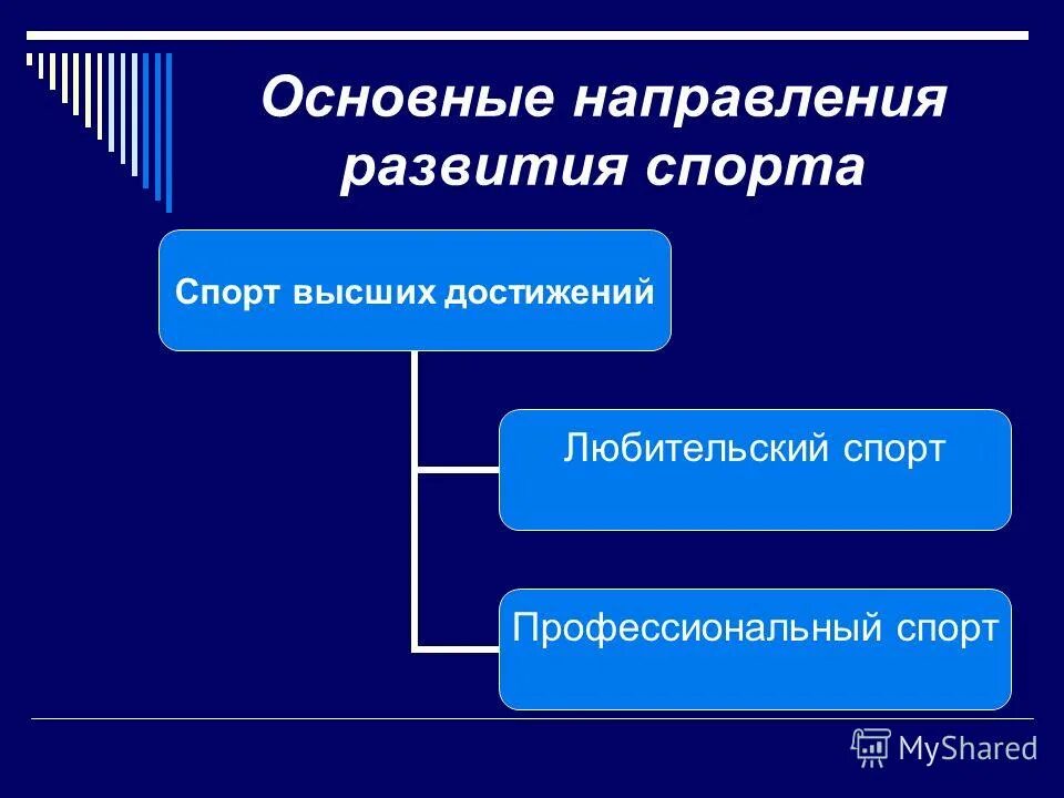 Направления развития. Основные направления развития спорта. Основные направления спорта высших достижений. Направления спортивного движения.