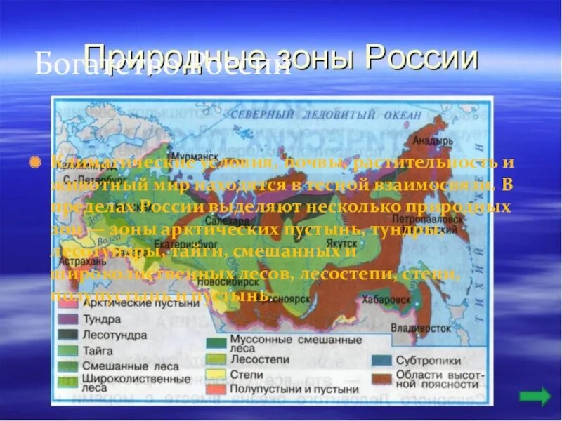 Эта природная зона занимает более половины территории. Природные зоны России. Основные природные зоны России. Карта природных зон. Природные зоны 4 класс.