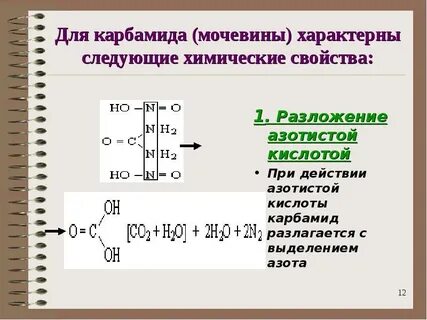 Мочевина органическая кислота
