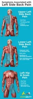 Organ Pain In Left Side Of Back - Pin on Back Injuries & Spine Disorder...