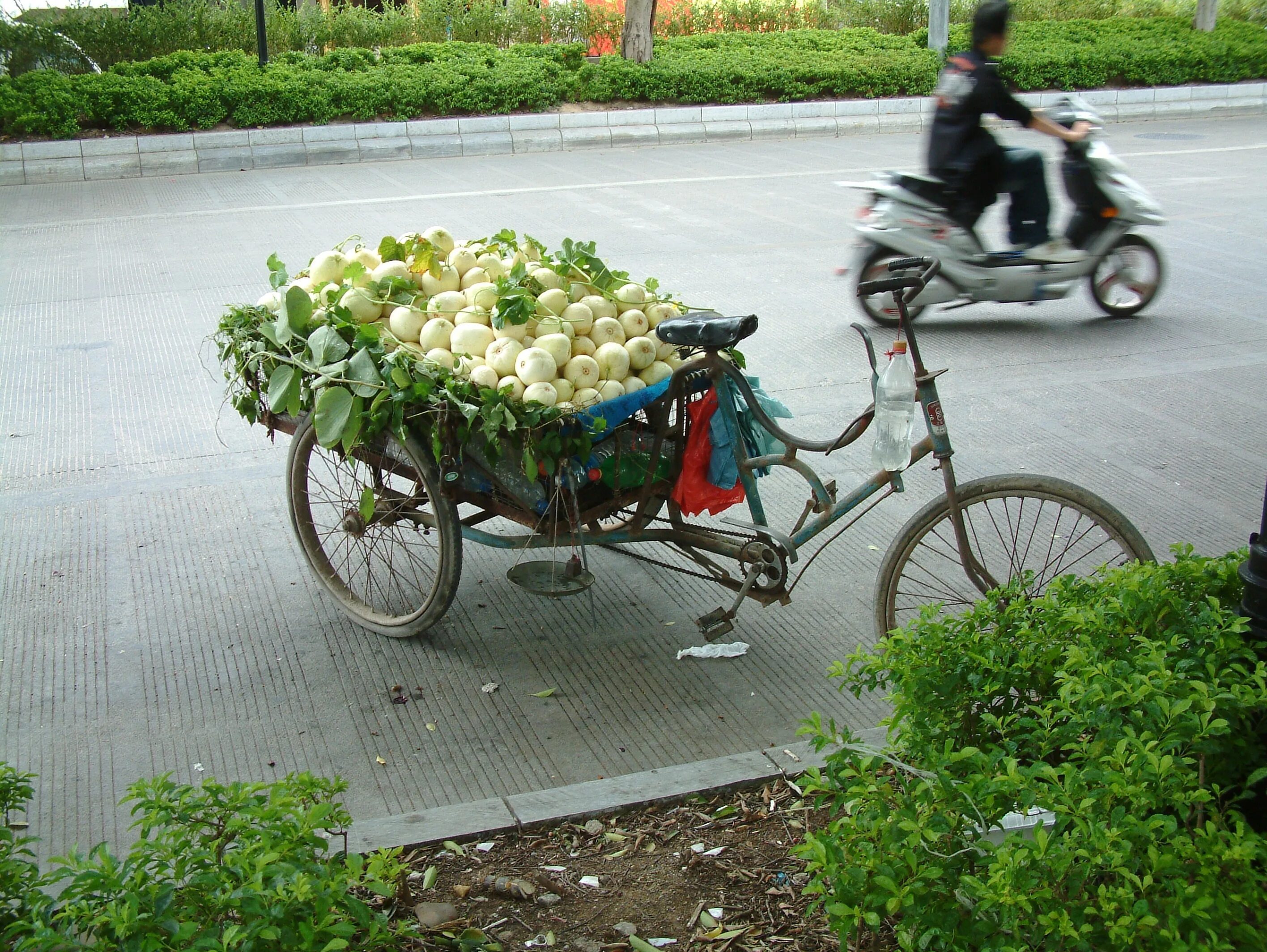 Велосипед в цветах зеленый. Велосипед с цветами. Овощи на велосипеде. Китаец с тележкой с овощами. Доставщик на велосипеде цветы.