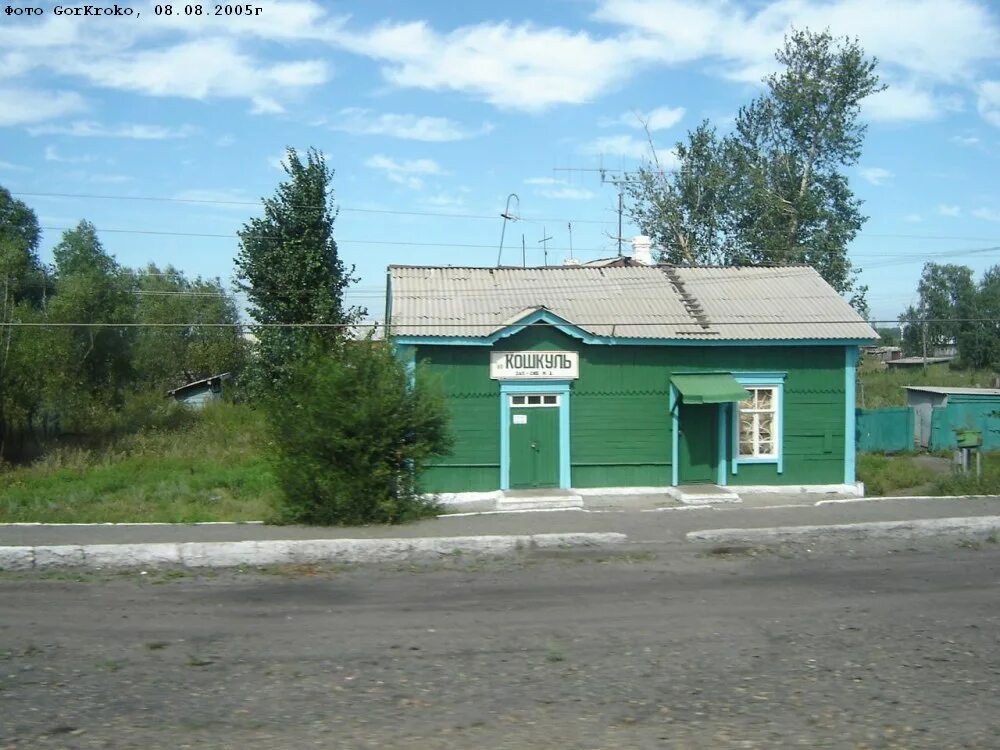 Станция Кошкуль Чановский район. Станция Кошкуль Новосибирская область. Старый Кошкуль. Деревня старый Кошкуль. Аулы новосибирской области