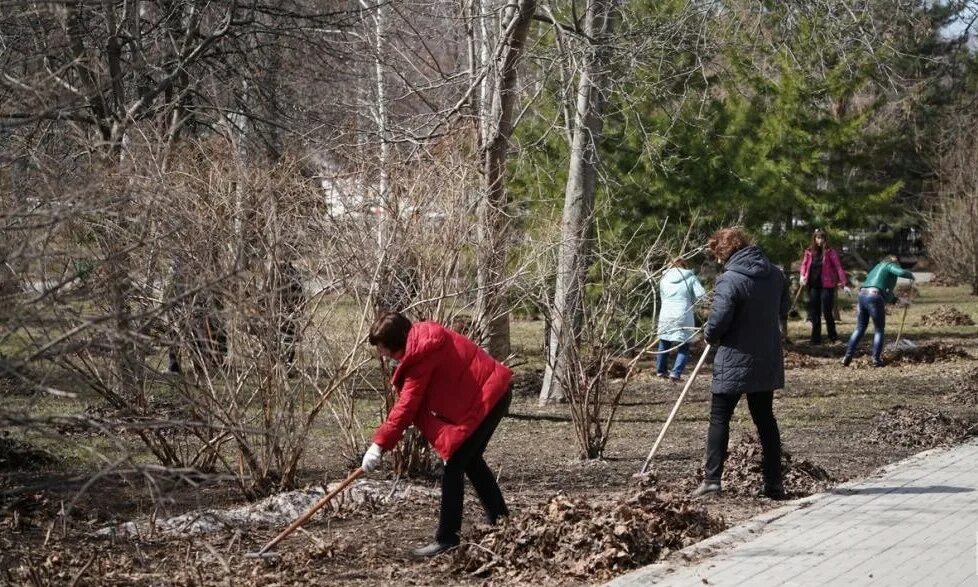 Общегородской субботник. Общегородской субботник осень 2024. Субботник в городе. Общегородской осенний субботник. Общегородской субботник пенза.