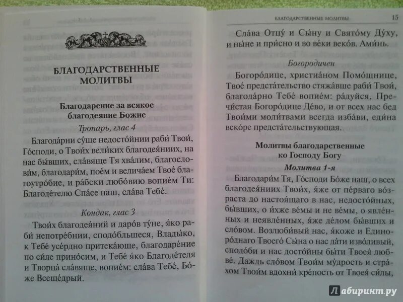 Читай благодарственную господу и святым. Благодарственная мрлитвагосподу. Благодарственные молитвы. Благодарственная молитва Господу. Благодарственные молитвы госпоподу.