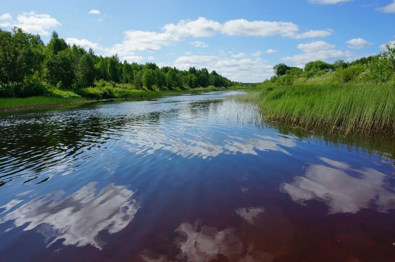 Бережок реки. Лопань (река). Чистая река Русь Брянск. Река Иинка. Река Ибердь.