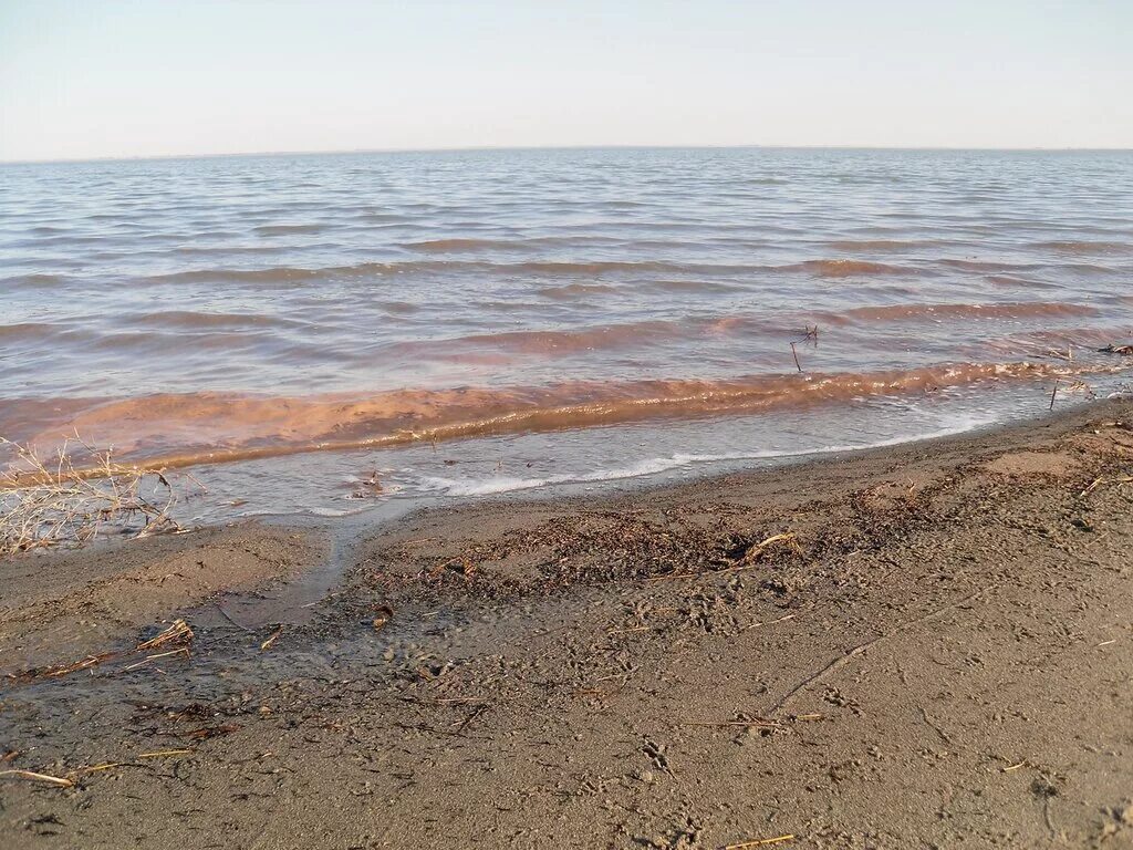 Малое яровое. Малое Яровое озеро. Малое Яровое Алтайский край. Солёное озеро Малое Яровое.