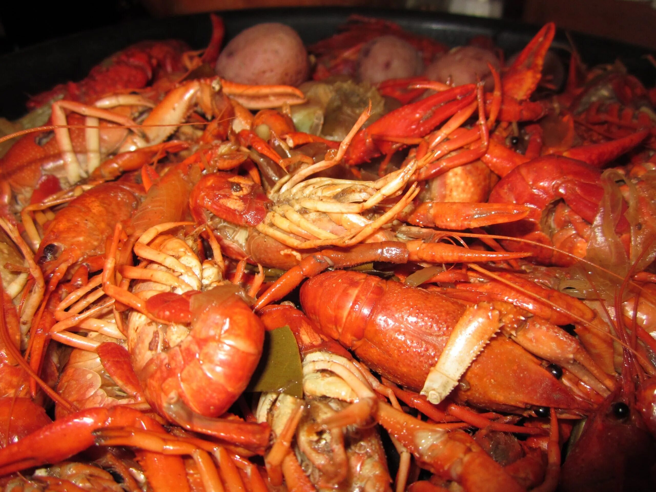 Блюда с креветками. Вареные морепродукты. Креветки омары живые. Рачок еда в Тайланде. Как варить раков живых в домашних