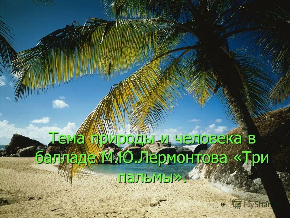 Презентация на тему: "1. Чтение, восприятие и анализ стихотворения "Три пальмы" 