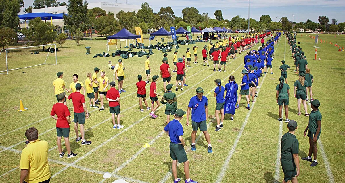 Sporting day. Sports Day. School Sports Day. Sport Day картинки. Sport event at School примеры.