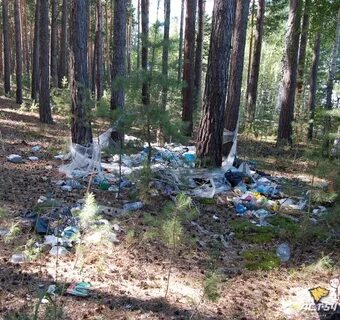 В бору или на бору