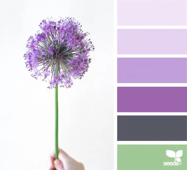Бледно сиреневый цвет сочетание с другими цветами Purple color combination (Сочетание с пурпурным цветом) Яркие цветовые палитры,