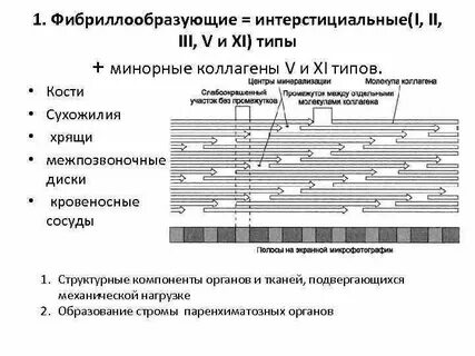 Полиморфизм ассоциированный