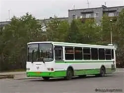 Автобусы кандалакша