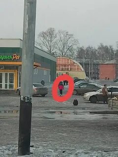 159 прокопьевск киселевск