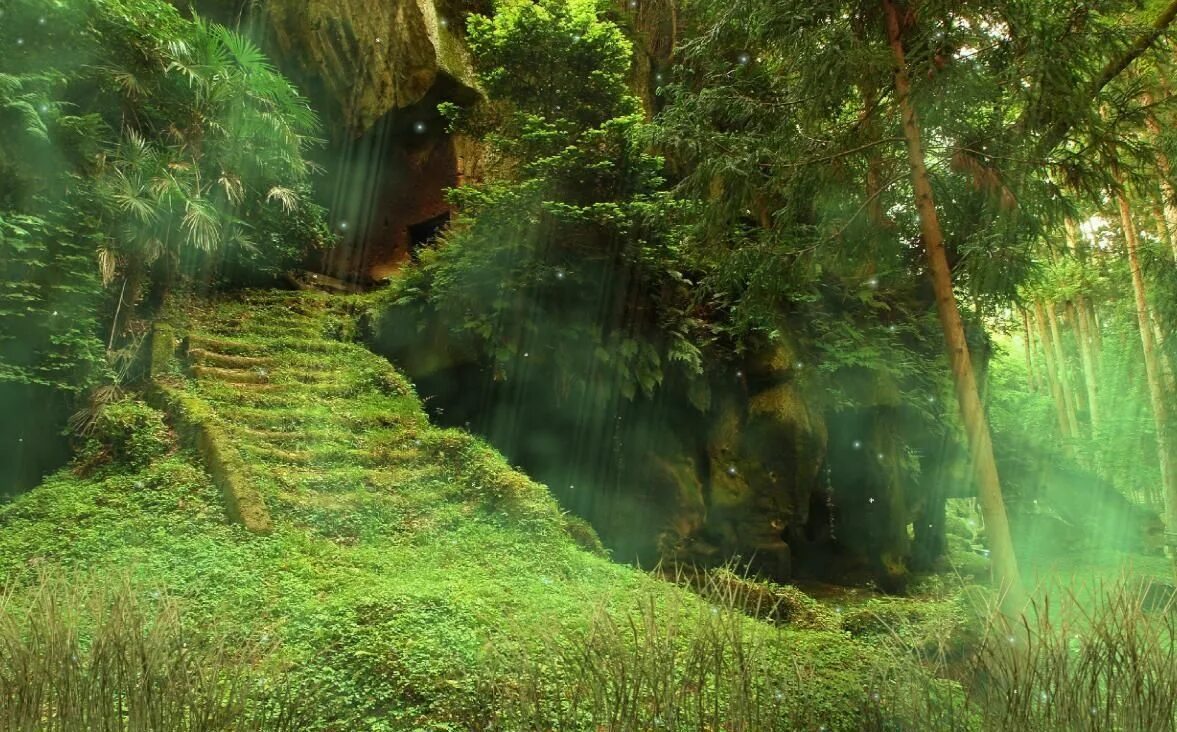 Тайны леса слияния. Сказочный лес. Сказочный таинственный лес. Волшебное место. Сказочная чаща.