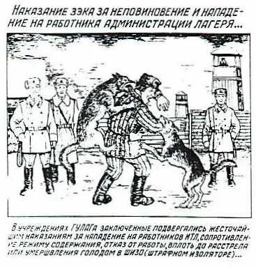 Как дрались в нквд. Как дрались в нквд
