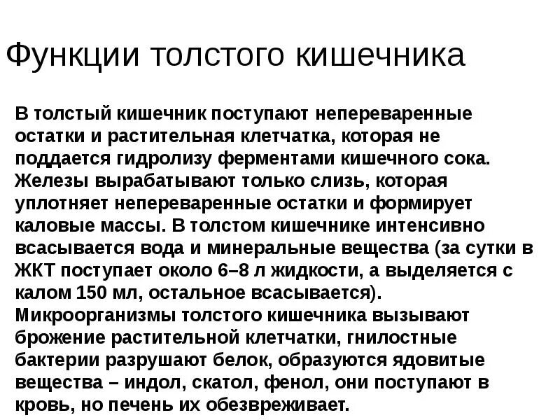 Функции толстого кишечника. Функции толстого кишечника человека в пищеварении. функции толстого кишечника кишечника. функции тоствогокишечника. толстый кишечник функции.