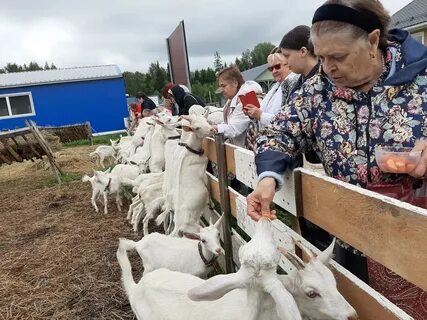 Экоферма сайт