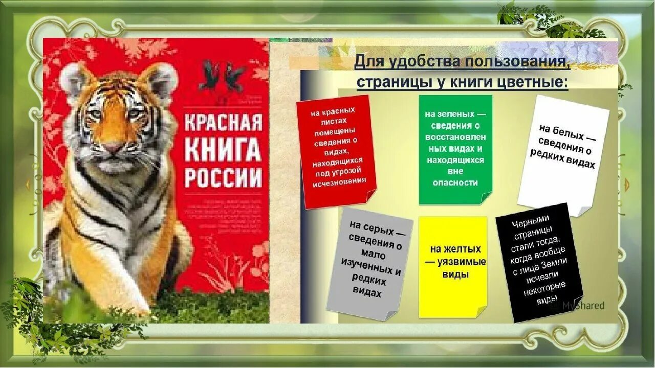 Красная книга россии цвета. Красная книга России. Странички красной книги. Страницы красной книги России. По страницам красной книги.