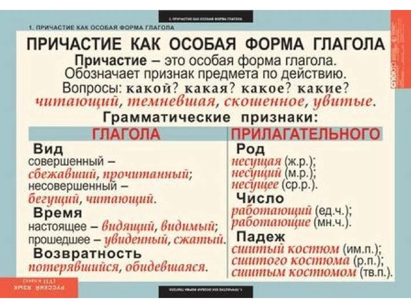 Причастие имеет признаки прилагательного. Причастие как особая форма глагола. Причастие как глагольная форма. Причастие как форма глагола. Что такое Причастие в русском языке.