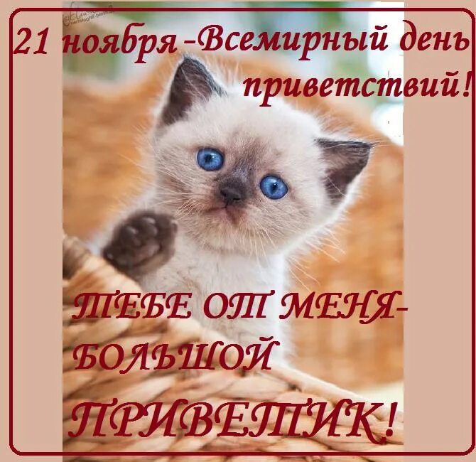 Привет сегодня день был. День приветствий. День приветствий открытки. День приветствий 21 ноября. Поздравления с днём приветствий.