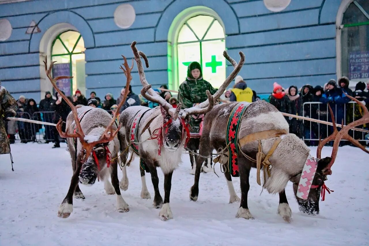 Означает слово аргиш