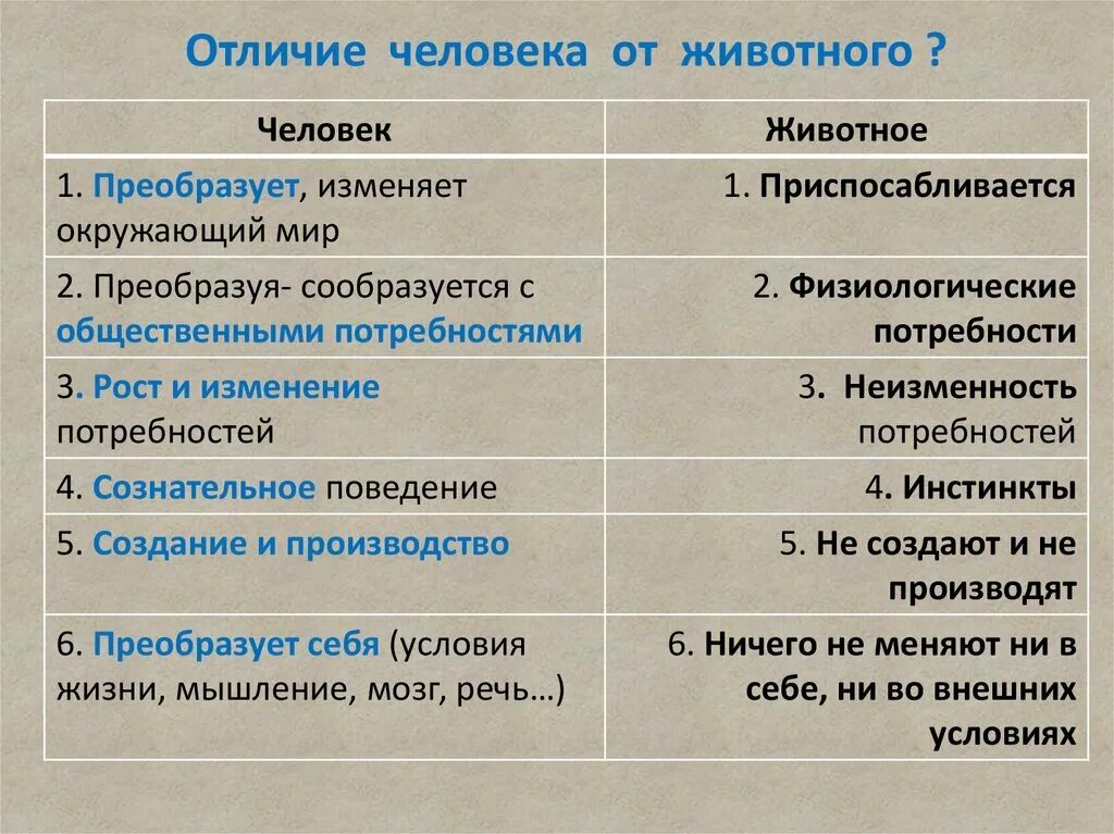 Отличие человека от живо. Отличие человека и животного. Основные отличия человека от животных. Признаки отличия человека от животного.