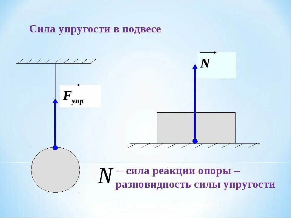 Направление упругости. Подвес в физике сила упругости. сила упругости и сила реакции опоры. сила упругости подвеса 7 класс физика. сила нормальной реакции опоры точка приложения.