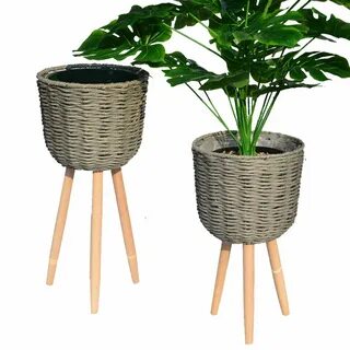 Plant w