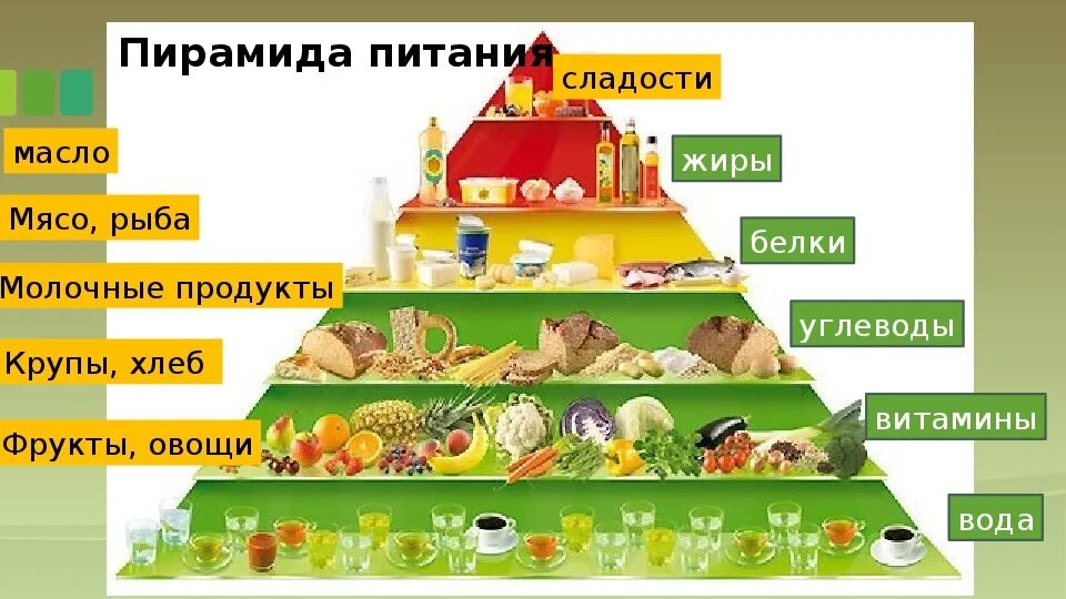 5 групп питания. Пирамида белки жиры углеводы. Пищевая пирамида. Рацион здорового питания. Пирамида правильного питания.