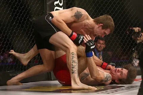 Fight 24