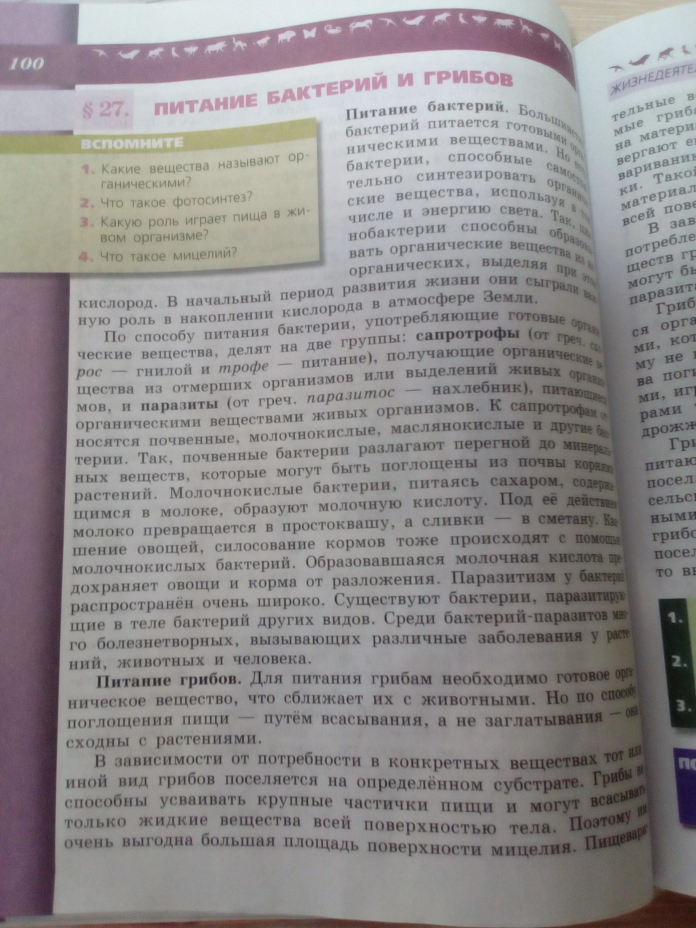 Краткий конспект учебника. Конспект по биологии 6 класс 6 параграф. конспект по биологии 6 класс параграф 5. конспект по параграфу. биология 6 класс параграф 27.