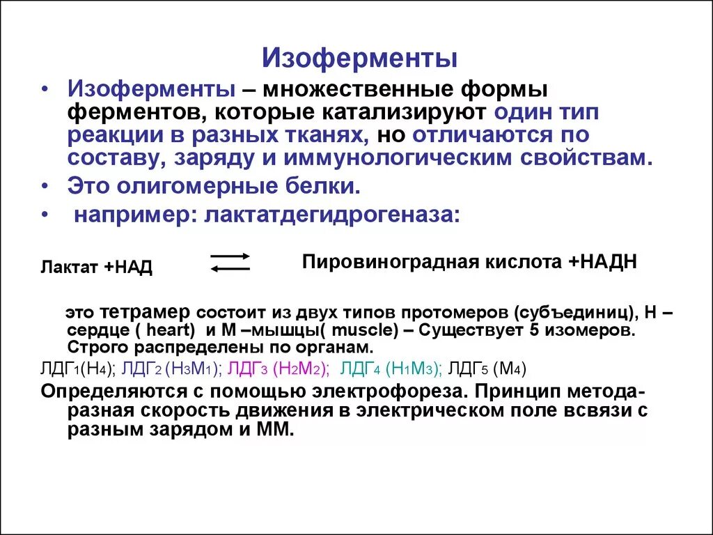 Концентрация ферментов и активность ферментов. Изоферменты это формы фермента которые. Изоферменты множественные формы ферментов. Регуляция активности ферментов биохимия понятие. Регуляция активности ферментов и их биологическая значимость.