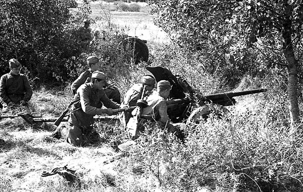 Освобождение Брянска 1943. Брянская операция 1943. Освобождение Брянской области в 1943 году.