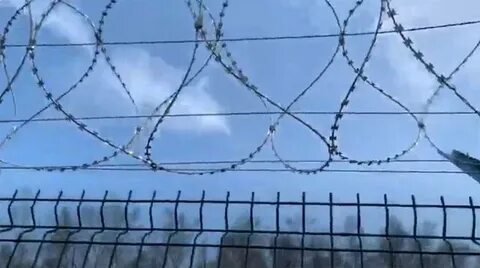 Проволока по украински перевод