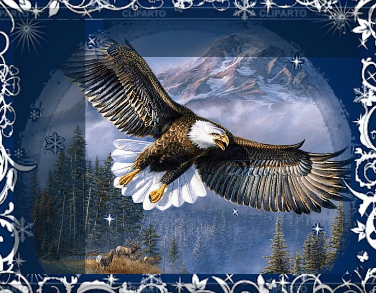 поздравления с новым годом парящего орла. год орла по славянскому. год орла по славянскому 2020. славянский календарь год парящего. новый год по славянскому календарю 2019.