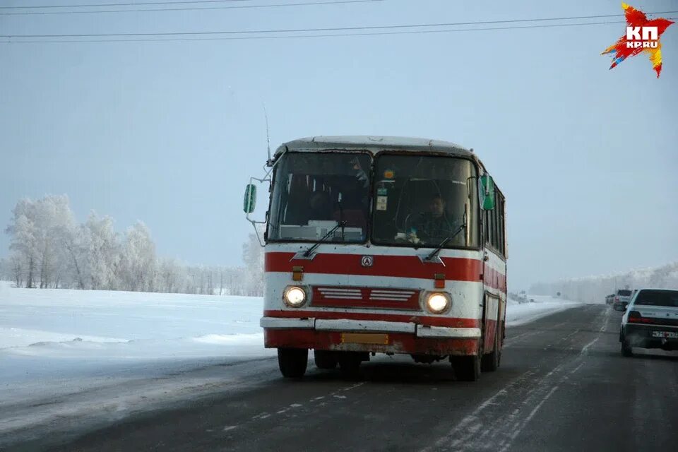 Новокузнецк горно алтайск автобус