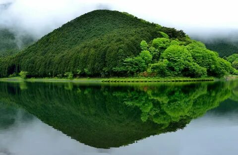Зеленая природа