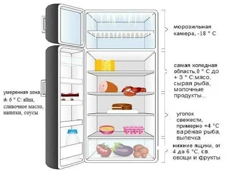 Холодильная камера температурный режим. Холодильник с 2 морозильными камерами сверху и снизу. Какая должна быть температура в холодильнике и морозильной камере. Стандартный температурный режим холодильных камер.