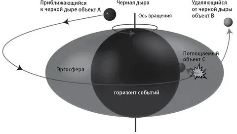 Строение черные