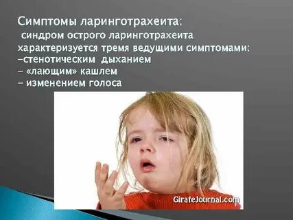 Ларинготрахеит у взрослых форум