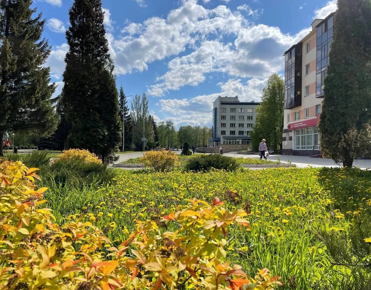 Тихая аллея 14 нижнекамск. Нижнекамск весной. Сбербанк на тихой аллее нижнекамск. Нижнекамск аллея. Аллея героев нижнекамск кладбище.